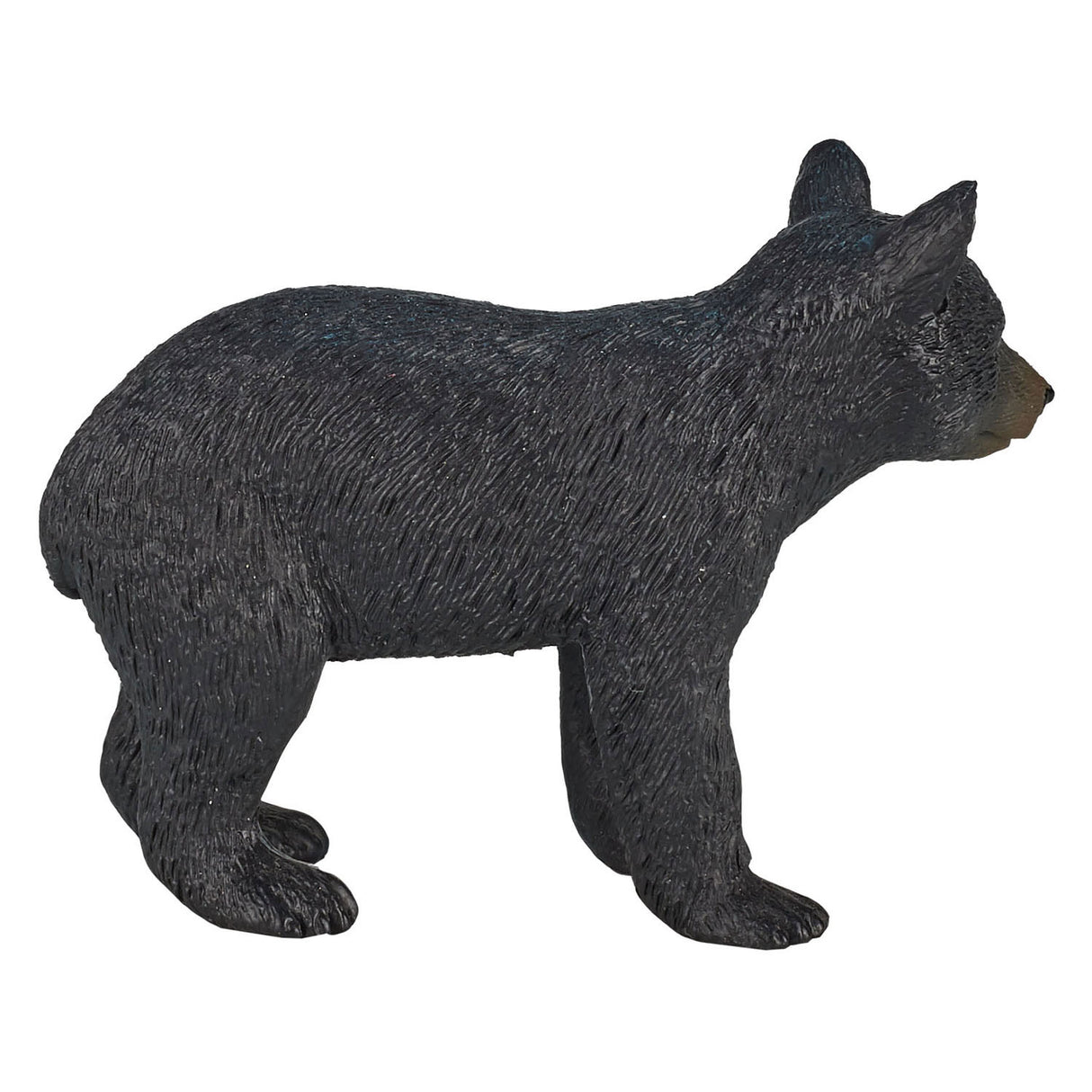 Mojo divjad Black Bear 387287