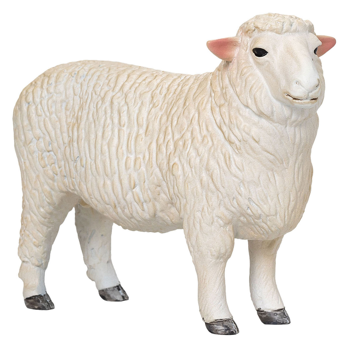 Mojo jordbruksmark Romney Schaap Ram 381063