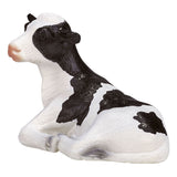 Mojo Ackerland Holstein Kalf liegt 387082