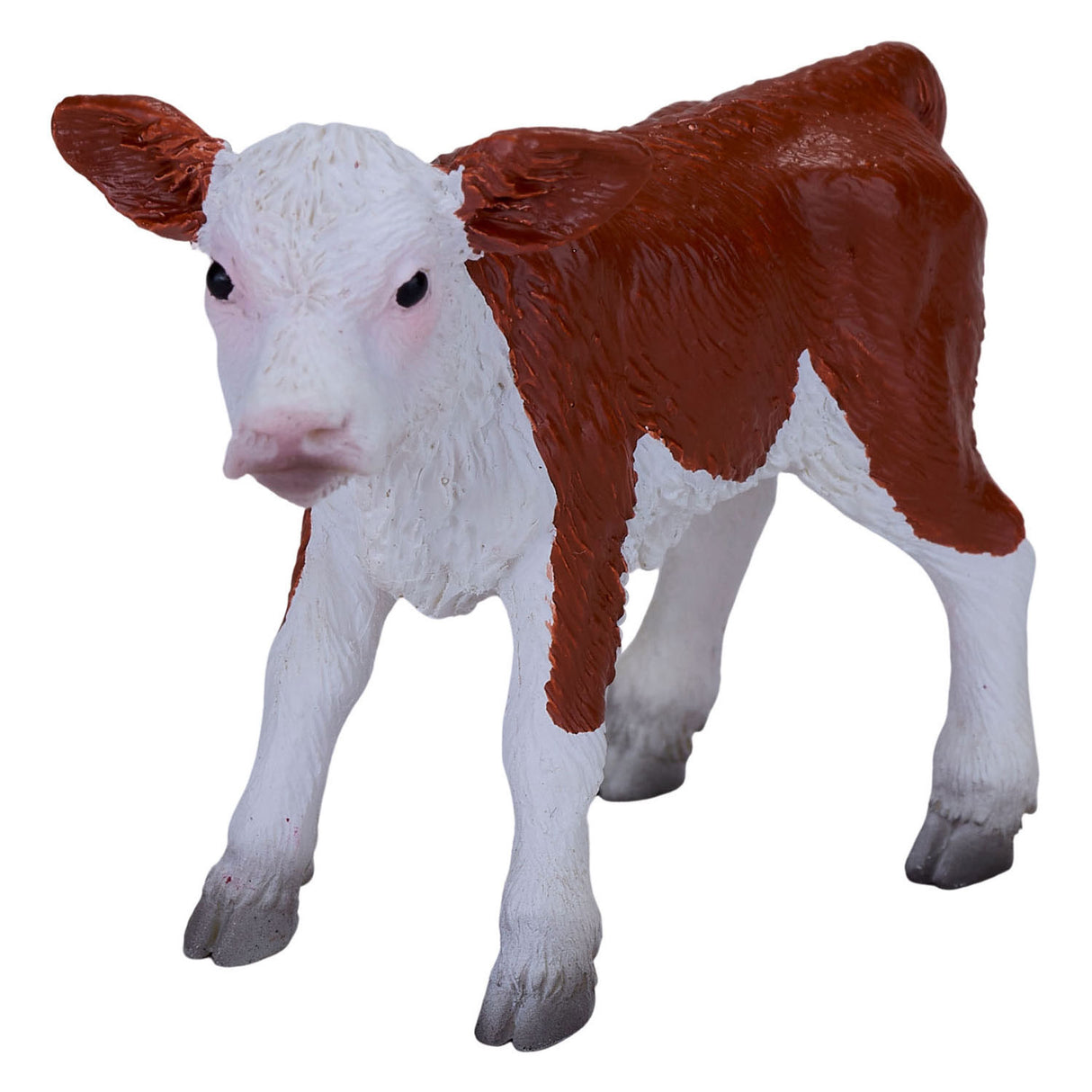 Mojo Ackerland Hereford Kalf 381075