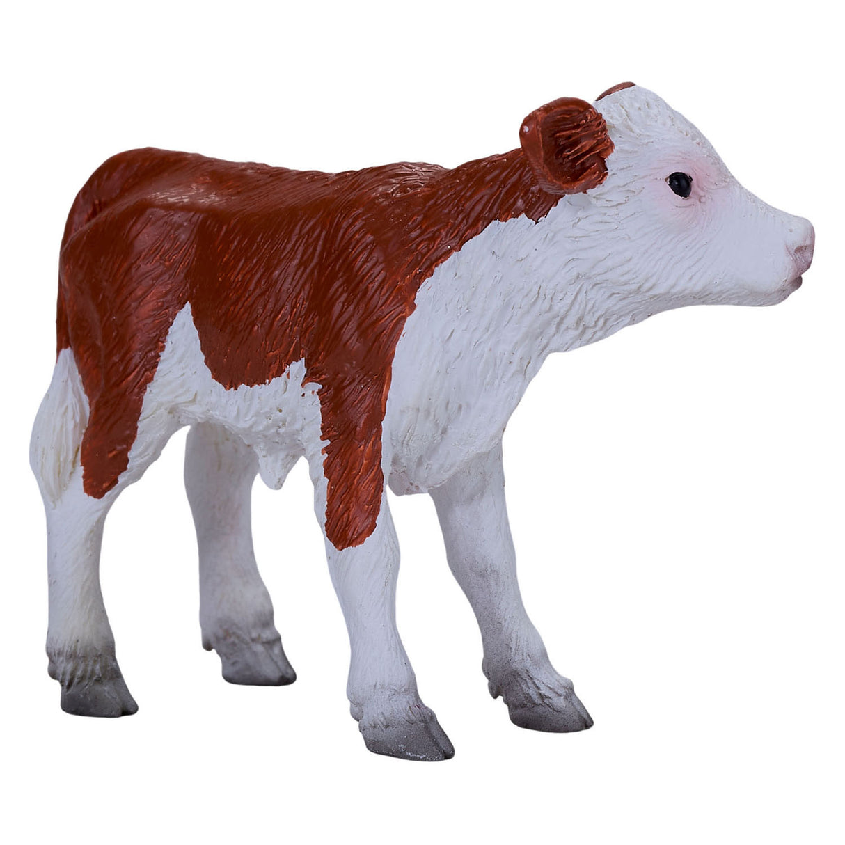 Mojo Ackerland Hereford Kalf 381075