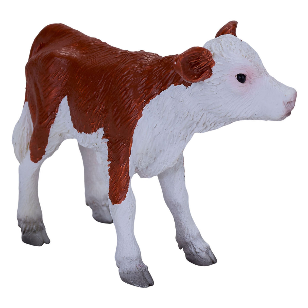 Mojo Ackerland Hereford Kalf 381075