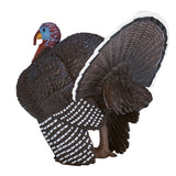 Mojo Farmland Male Turkey 387285