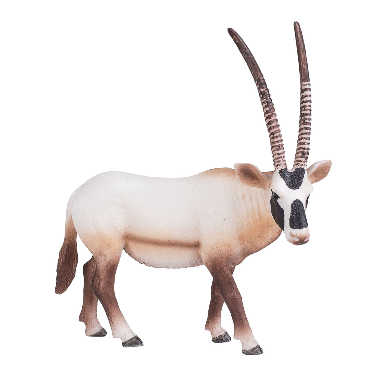 Mojo djurliv oryx 387242