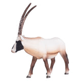 Mojo djurliv oryx 387242