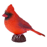 Mojo farmland red cardinal - 381117
