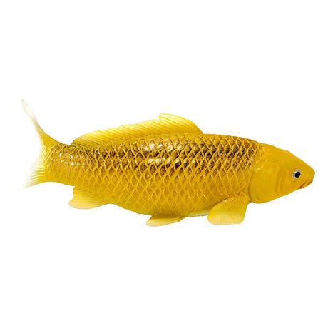 Mojo Sealife Koi-Karpfen – Chin Matsuba Koi – 381105