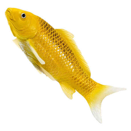 Mojo Sealife Koi-Karpfen – Chin Matsuba Koi – 381105