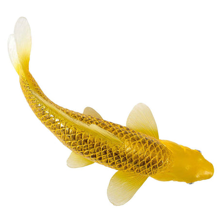 Mojo Sealife Koi-Karpfen – Chin Matsuba Koi – 381105