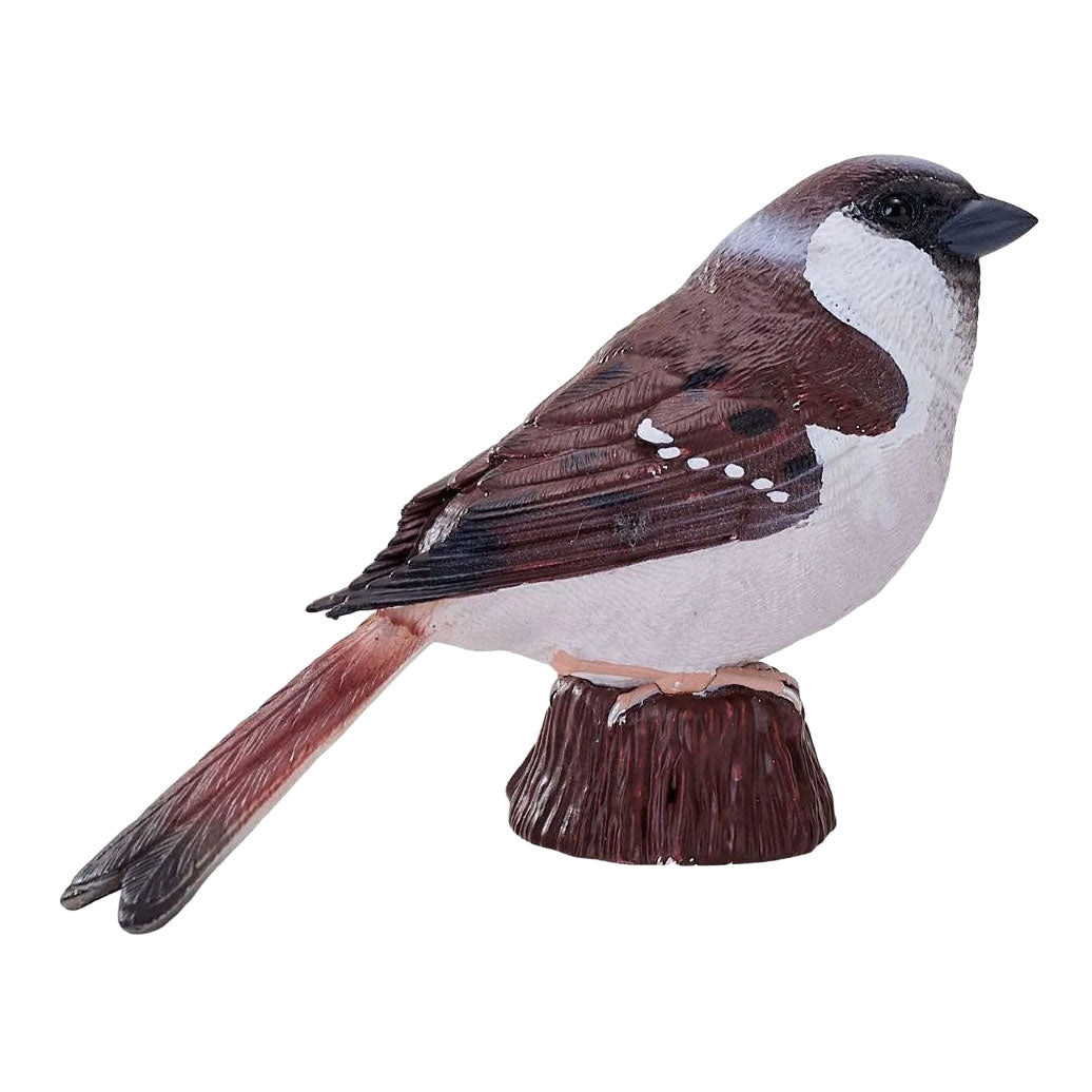 Mojo garden birds huismus 381128