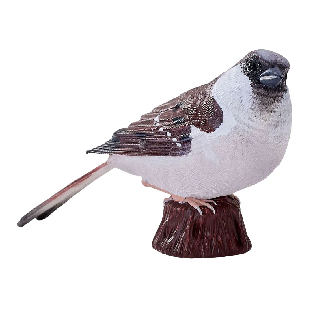 Mojo garden birds huismus 381128