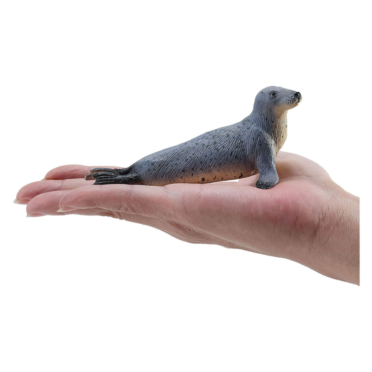 Mojo grijze zeehond - 381134