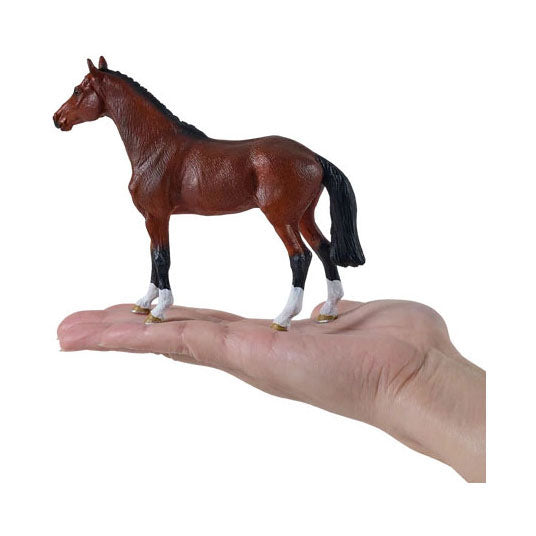 Mojo koninklijk warmbloed paard - 381155