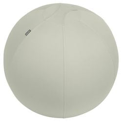Leitz ergo active sitting ball - anti-roll design - 65cm - light gray
