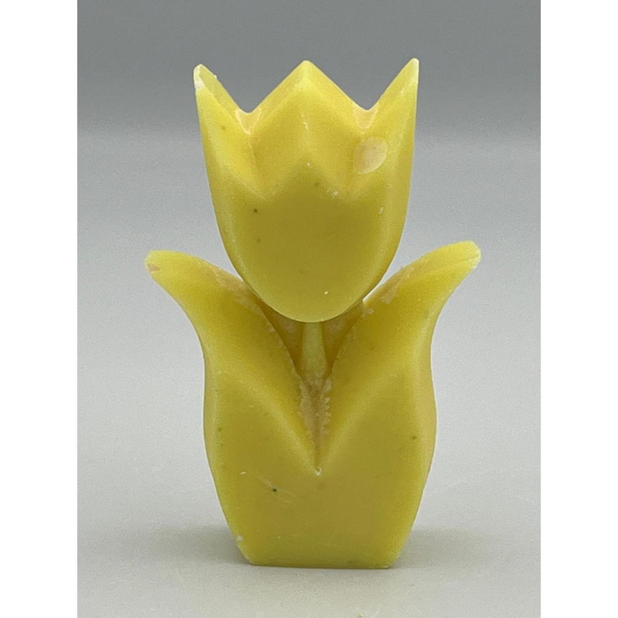 Vos decorations tulip scent pina colada