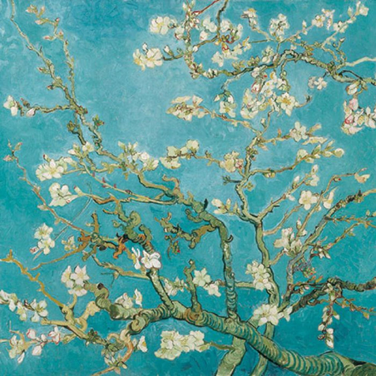 Ambiente napkin 33cm almond blossom