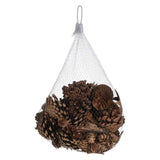 Koopman pine cones with tree bark