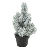 Denneboom en pot, 33 cm