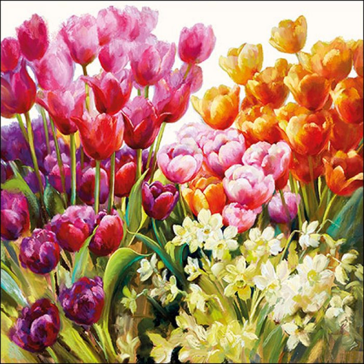 Ambiente napkin 25cm tulips 20 pieces
