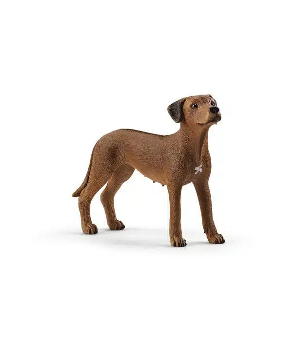 Schleich dog rhodesian ridgeback 13895
