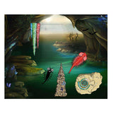 Selecta cosmos saltwater creatures play set