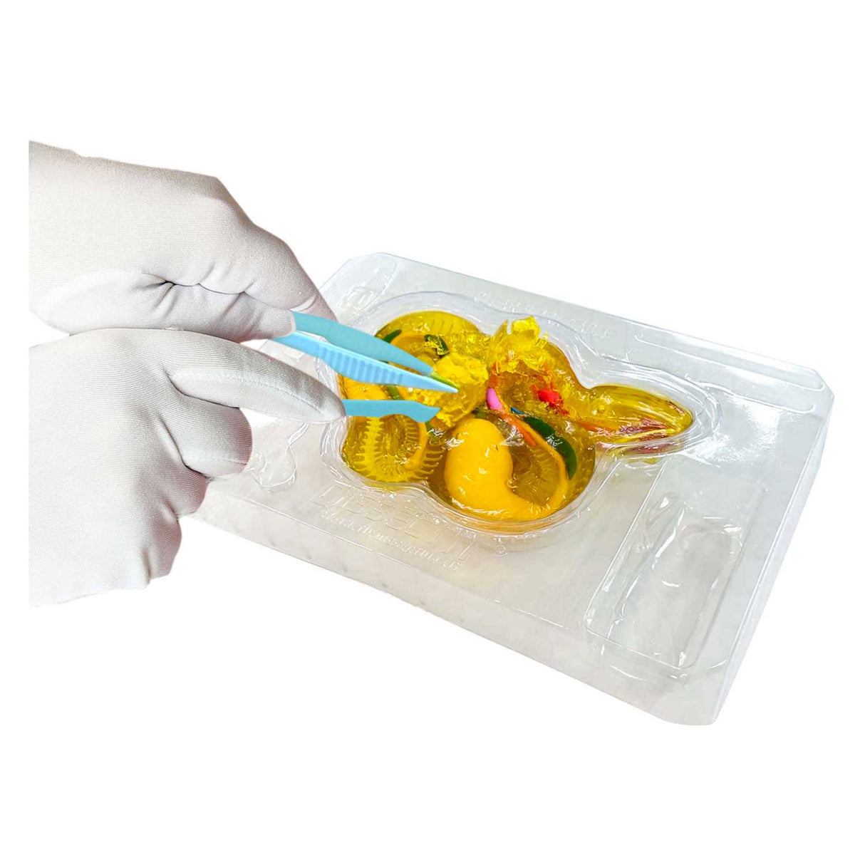 Dissect-it dissects a rattlesnake mega gift box