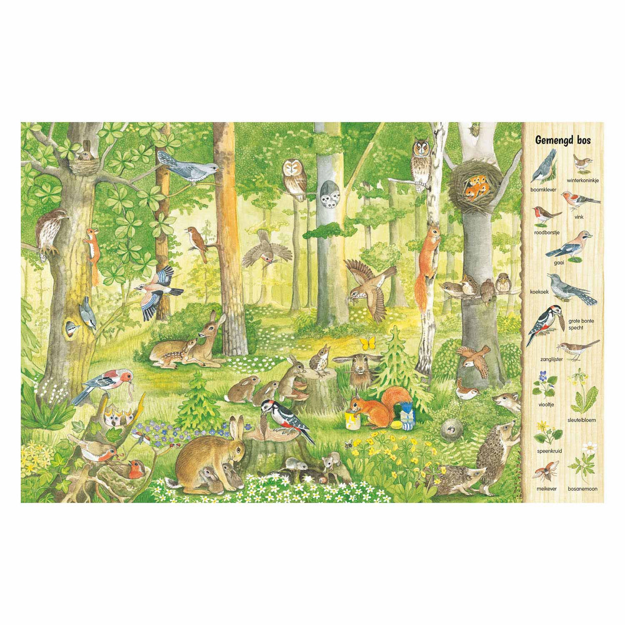 Delta's look and search book - in the forest