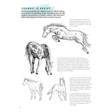 Deltas Learn to draw horses step by step