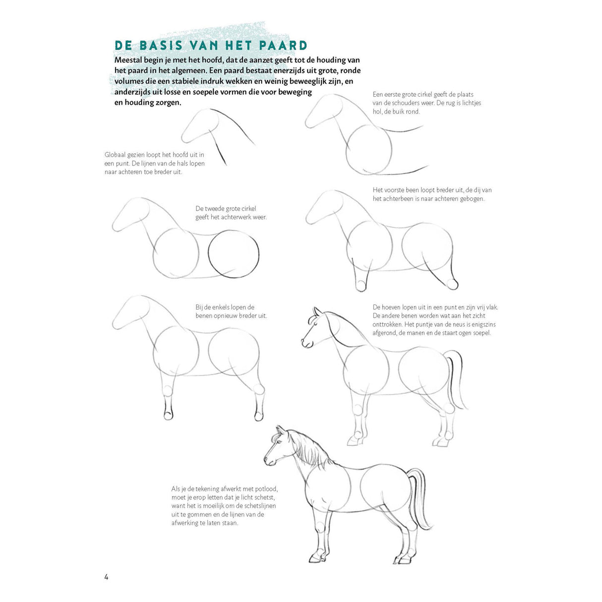 Deltas Learn to draw horses step by step