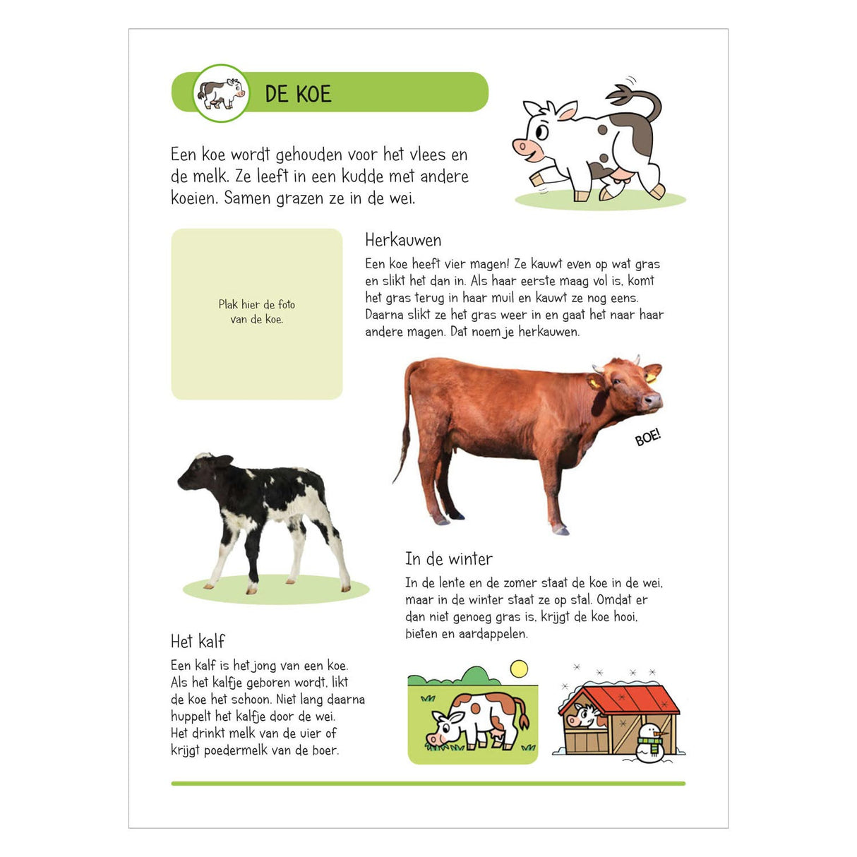 Sticker book - Animals on the farm