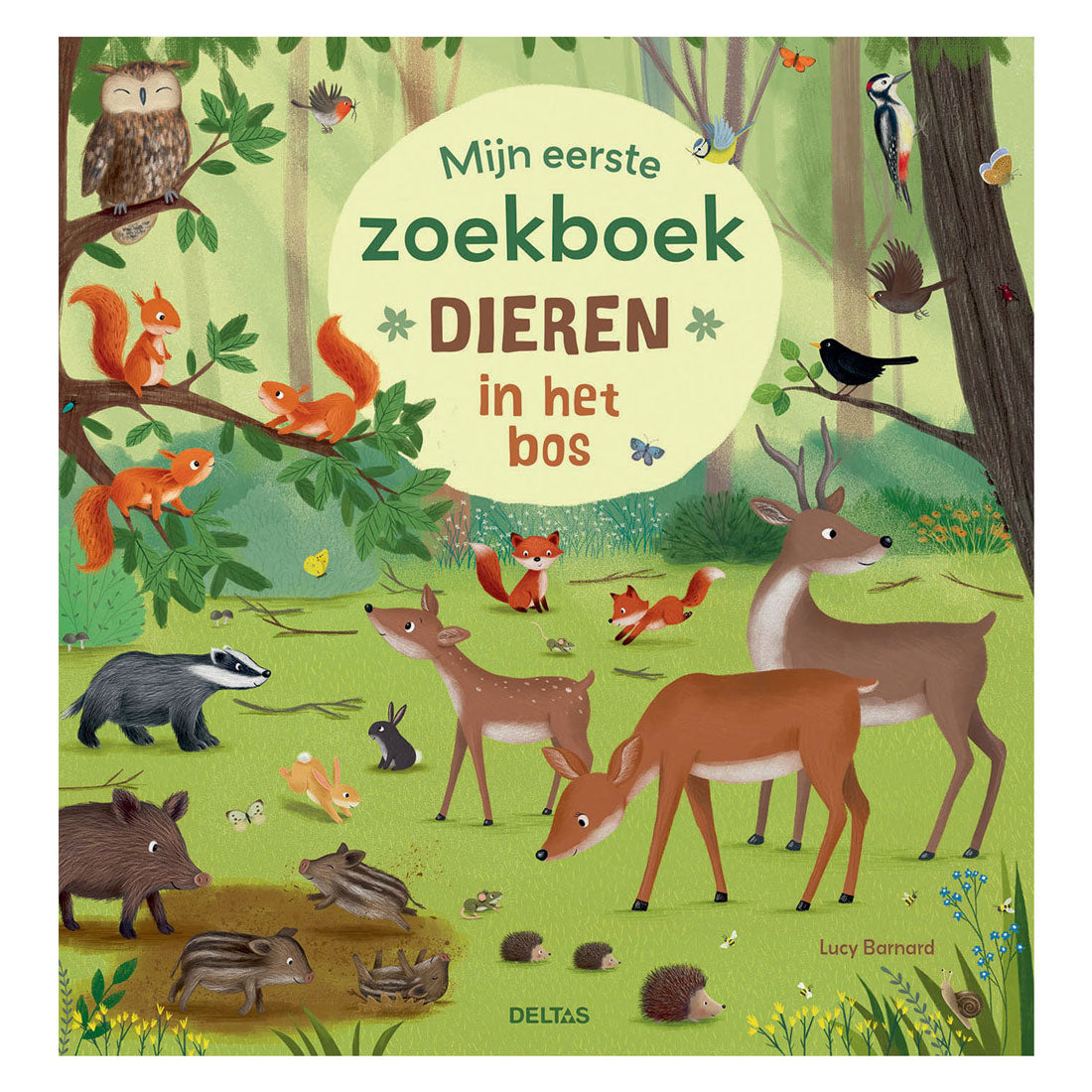 Deltas My first search book - Animals in the forest