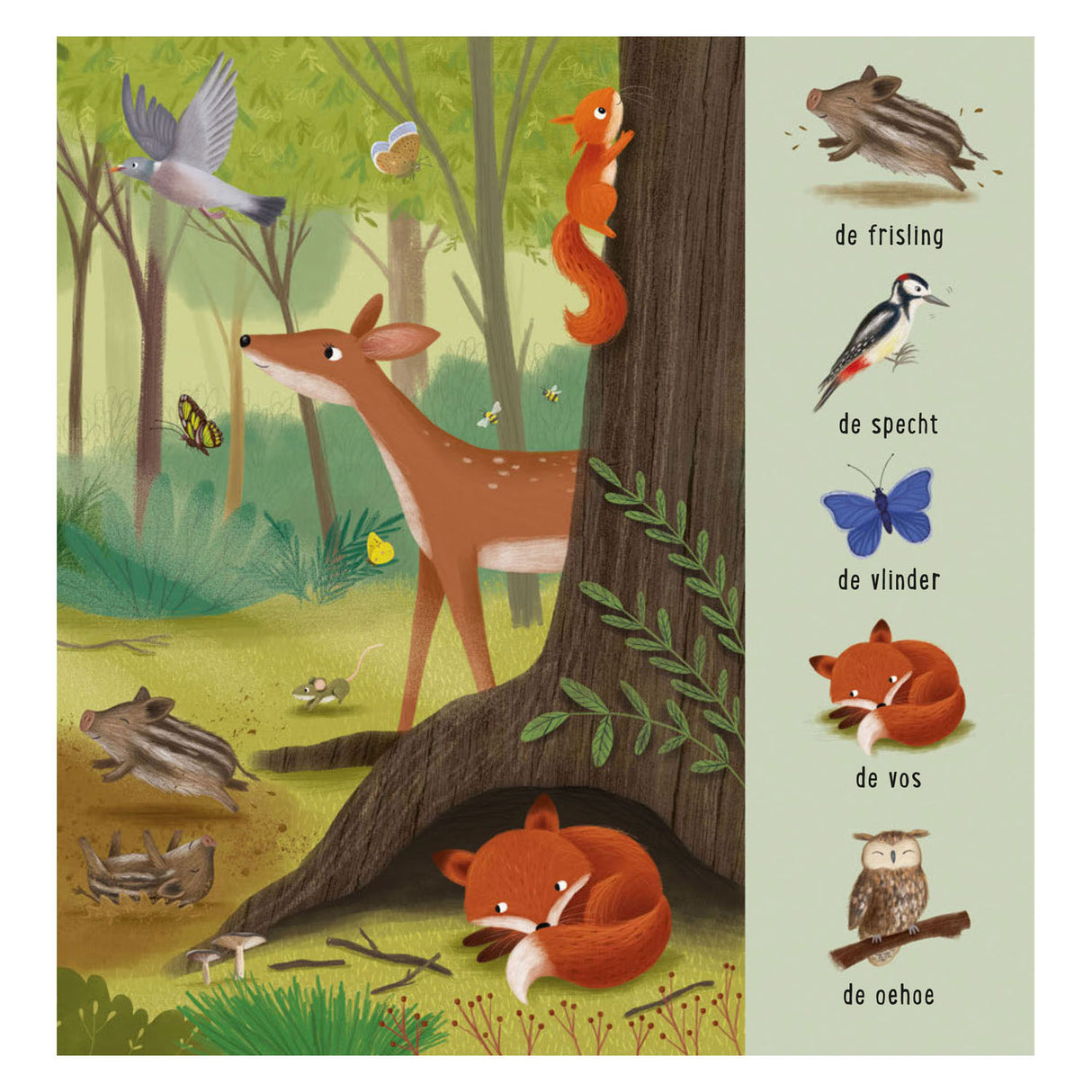 Deltas My first search book - Animals in the forest