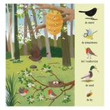 Deltas My first search book - Animals in the forest