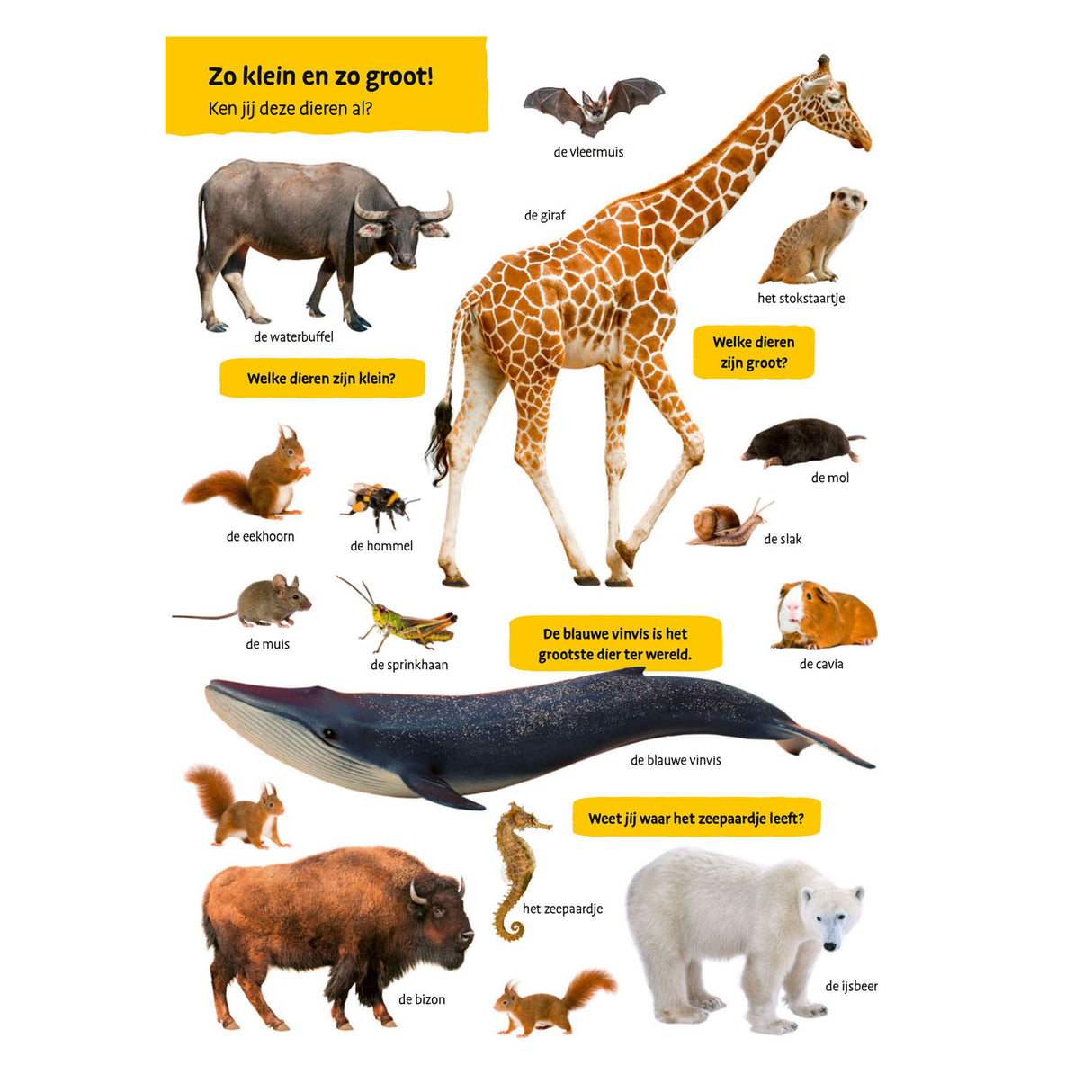 Deltas mi primer libro de visualización de animales grandes