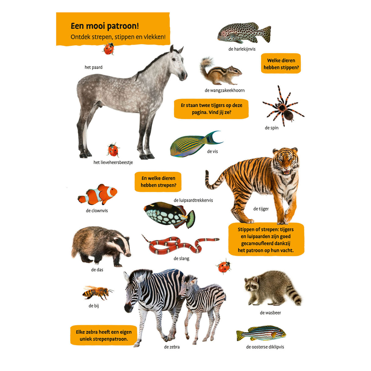 Deltas mi primer libro de visualización de animales grandes