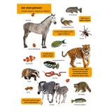 Deltas mi primer libro de visualización de animales grandes