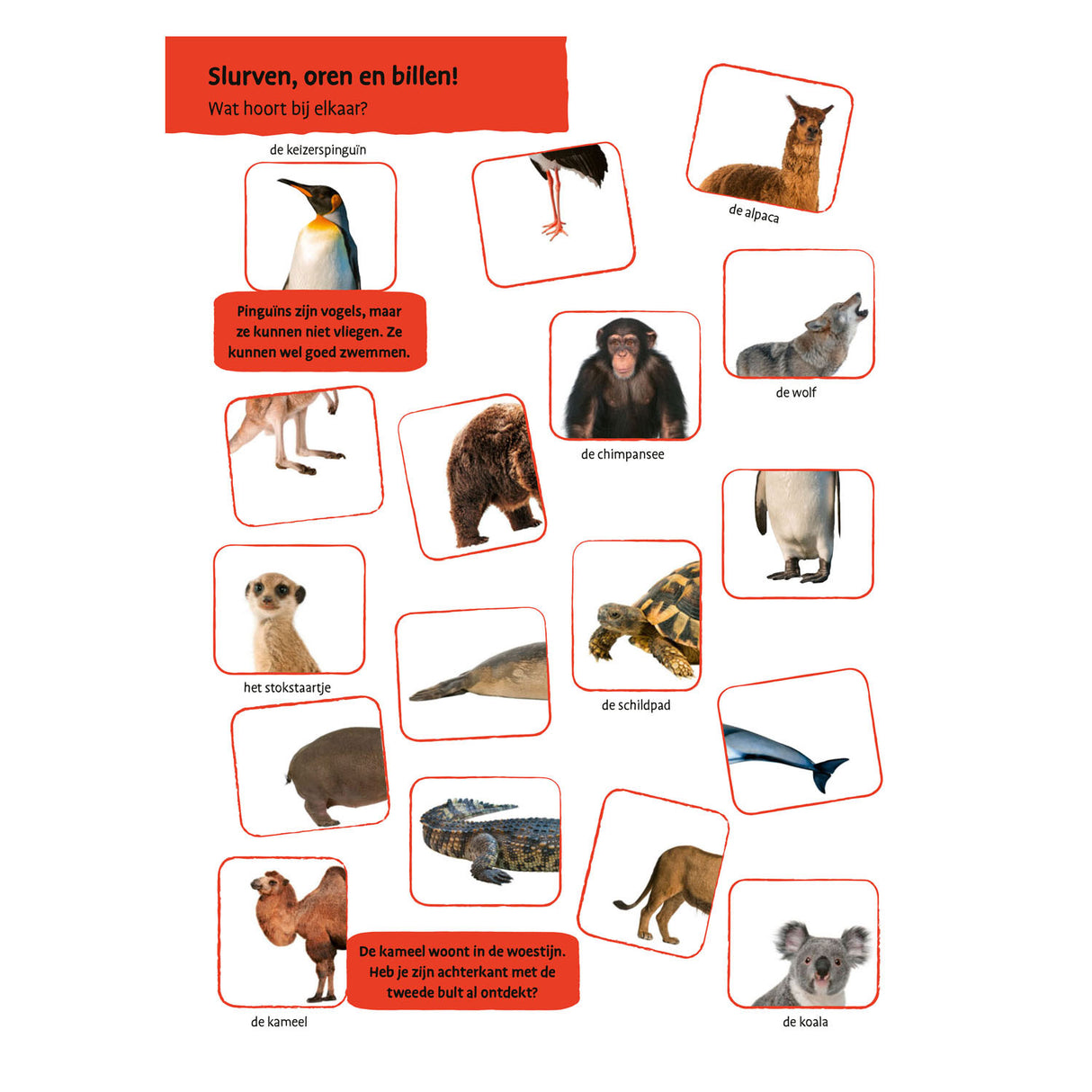 Deltas mi primer libro de visualización de animales grandes