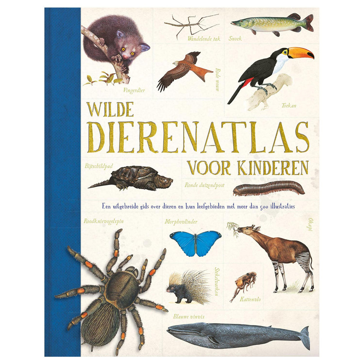 Rebo Publishers Wild Dierenatlas för barn