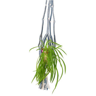 Žádná značka v náladě kolekce držák na hrnce modrý macrame 110 cm | 6 kusů
