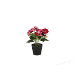 Violet in plastic pot approx. 21cmh assorted color | 4 pieces
