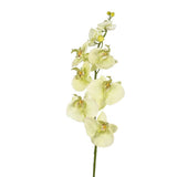 Sem marca flor artificial orquídea creme 85 cm