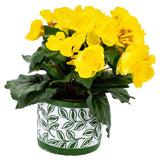 No brand pot olea cylinder green 11 cm | 6 pieces