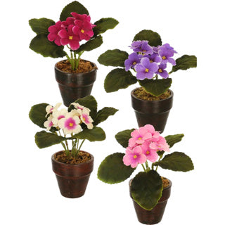 Nee Mark kënschtlech Planz am Pot Kaape violett 16 cm 4 assortéiert | 12 Stéck