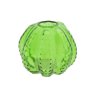 Uimh vása branda cactus logan dronnach 11 cm glas | 2 ríomhaire