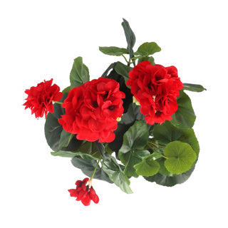 Edelman artificial plant geranium red in pot gray | 2 pcs