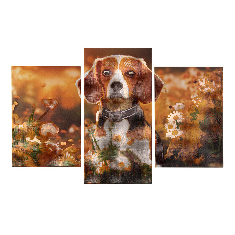 Creative craft group diamond painting triptych dog