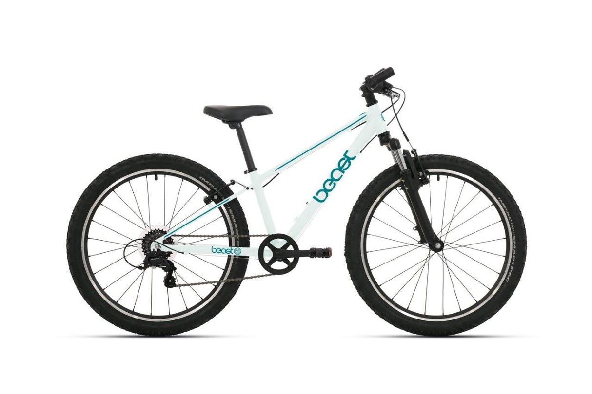 Bicicleta infantil Bikefun de 26 polegadas com shimano 6 marchas e freios V - ervas marinhas