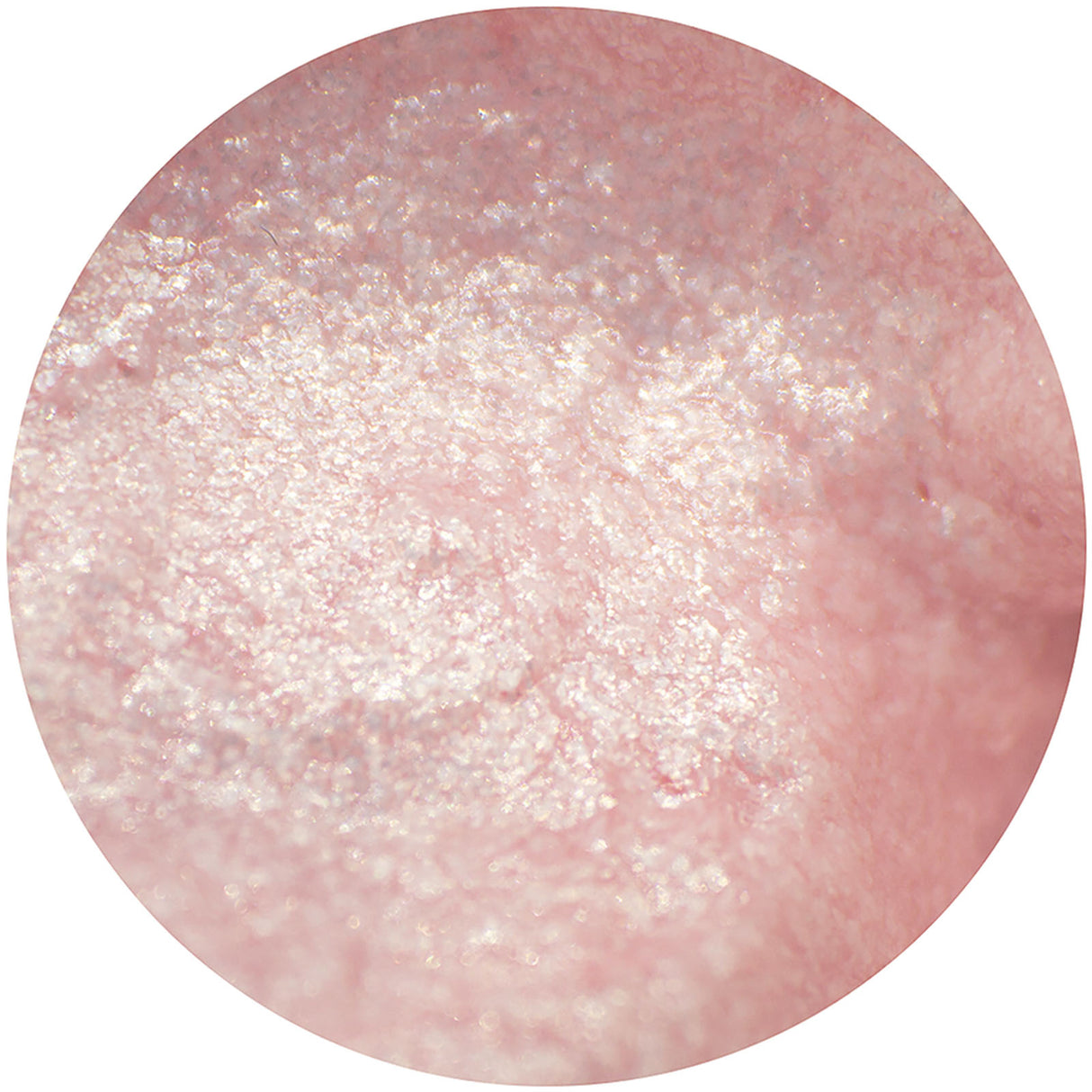 Nuvo by Tonic Studios Nuvo • Glacier Paste Frosted Petal