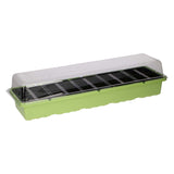 Unbranded sans marque seed tray with 12 compartments