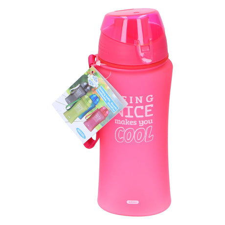 Geriamojo buteliuko spalvos, 480ml